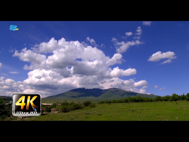 Ara ler - 4k