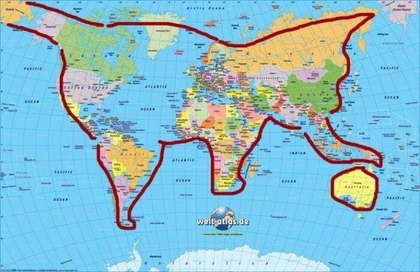 Весь мир — это котик, играющий в Австралию.