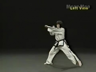 Taekwondo - Black Belt Legacy
