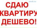 Объявление от Анастасия - фото №1