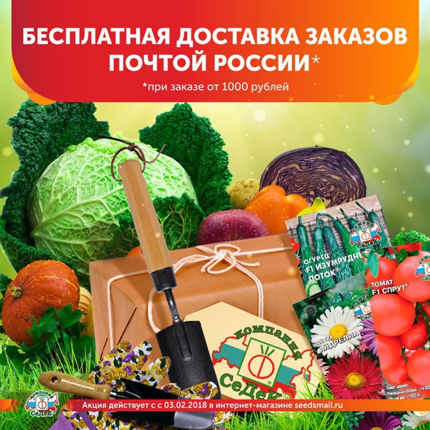 Огород Ярославль Интернет Магазин