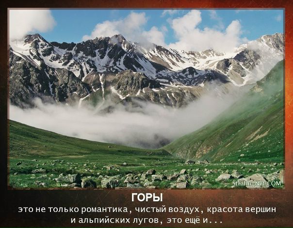 Всё, как мы любим!