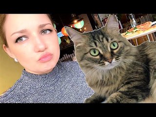 Открываю КАНАЛ ДЛЯ КОШКИ ! Примерка одежды и наши покупки !!! ВЛОГ Мили Ванили