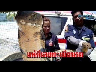 นึกว่าพวกถ้ำมอง! ได้ยินเสียงแปลกๆ เปิด