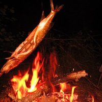 Александр Мологский