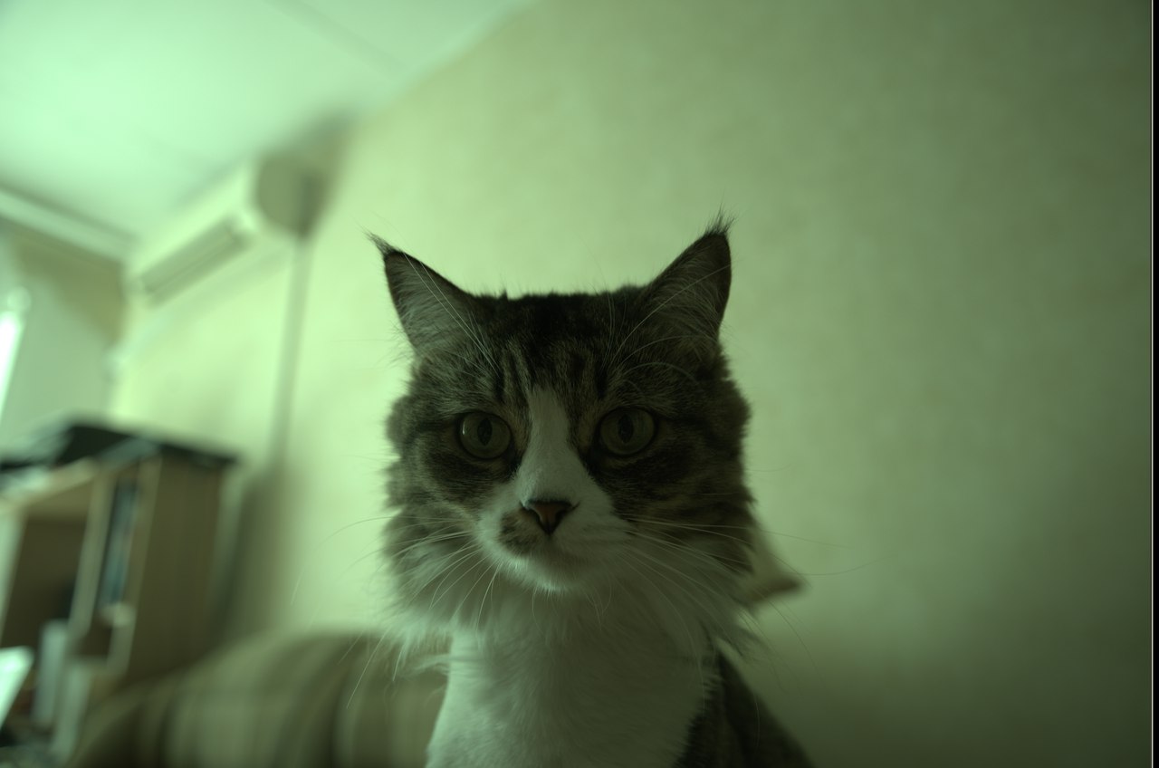 user posted image