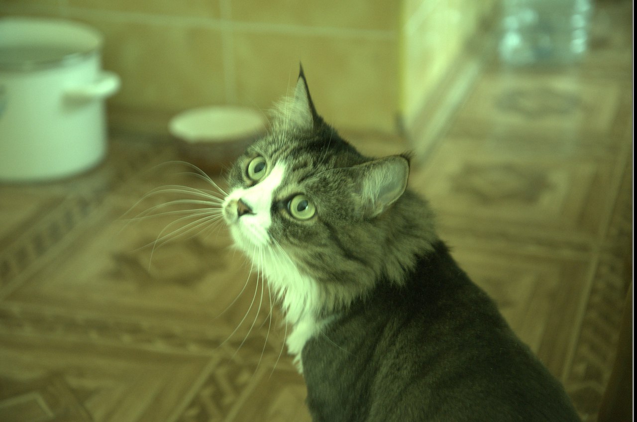 user posted image