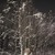 Фото пользователя Лена