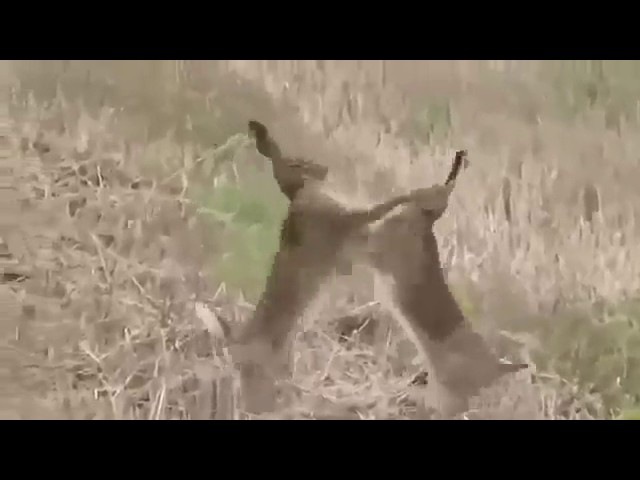 УБИВАЙ НАХУЙ