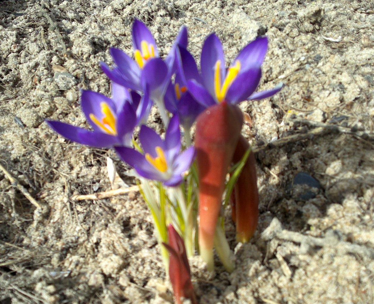 фотография из вКонтакта