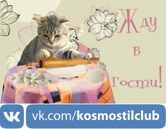 белорусская косметика. Кот ждун