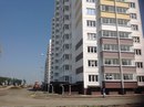 Объявление от Анастасия - фото №1