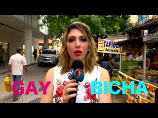 Van Van - Existe diferença entre Gay e Bicha? - Papeiro da Cinderela