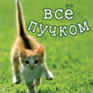 Открытка все пучком, картинки
