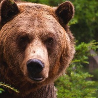 Михаил Шилов | Санкт-Петербург