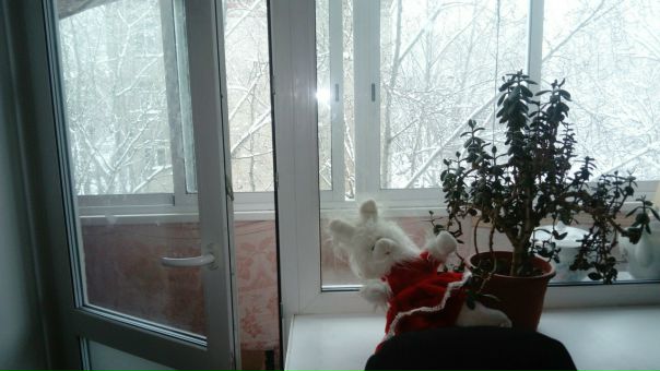 Сдаётся комната в 2кв! 16500 + к.у. (депозит 16500 можно поделить на несколько месяцев) м. Петровско-Разумовская или Окружная в пешей доступности. <br>В соседях мы-молодая семья с кошкой) ищем девушек или также молодую семью, чистоплотных, приличных и позитивных, как и мы) <br>Комната большая, с балконом! Диван можно заменить по желанию. Вся квартира сама по себе просторная<br>Писать в лс! <br> Зайцева - фото Фото: Сдаётся комната в 2кв! 16500 + к.у. (депозит 16500 можно поделить на несколько месяцев) м. Петровско-Разумовская или Окружная в пешей доступности. <br>В соседях мы-молодая семья с кошкой) ищем девушек или также молодую семью, чистоплотных, приличных и позитивных, как и мы) <br>Комната большая, с балконом! Диван можно заменить по желанию. Вся квартира сама по себе просторная<br>Писать в лс! <br> Зайцева