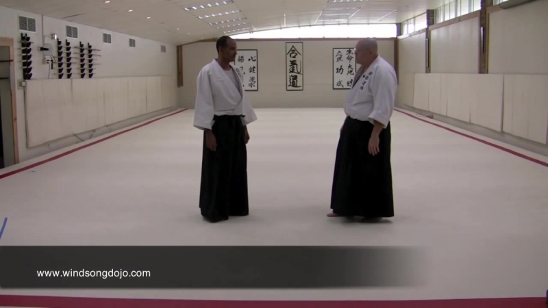 Aikido Atemi Waza - 1
