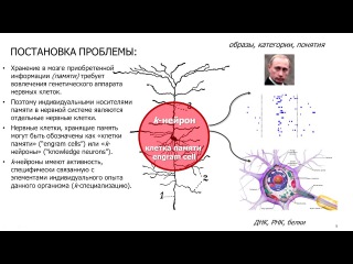 Анохин К.В - Нейрофотоника: оптические технологии исследования и контроля бодрствующего мозга