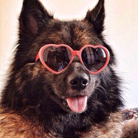 Мишка Бабич  lifeq^