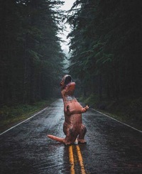 Андрей Лыжников