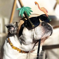 Черний Виталик