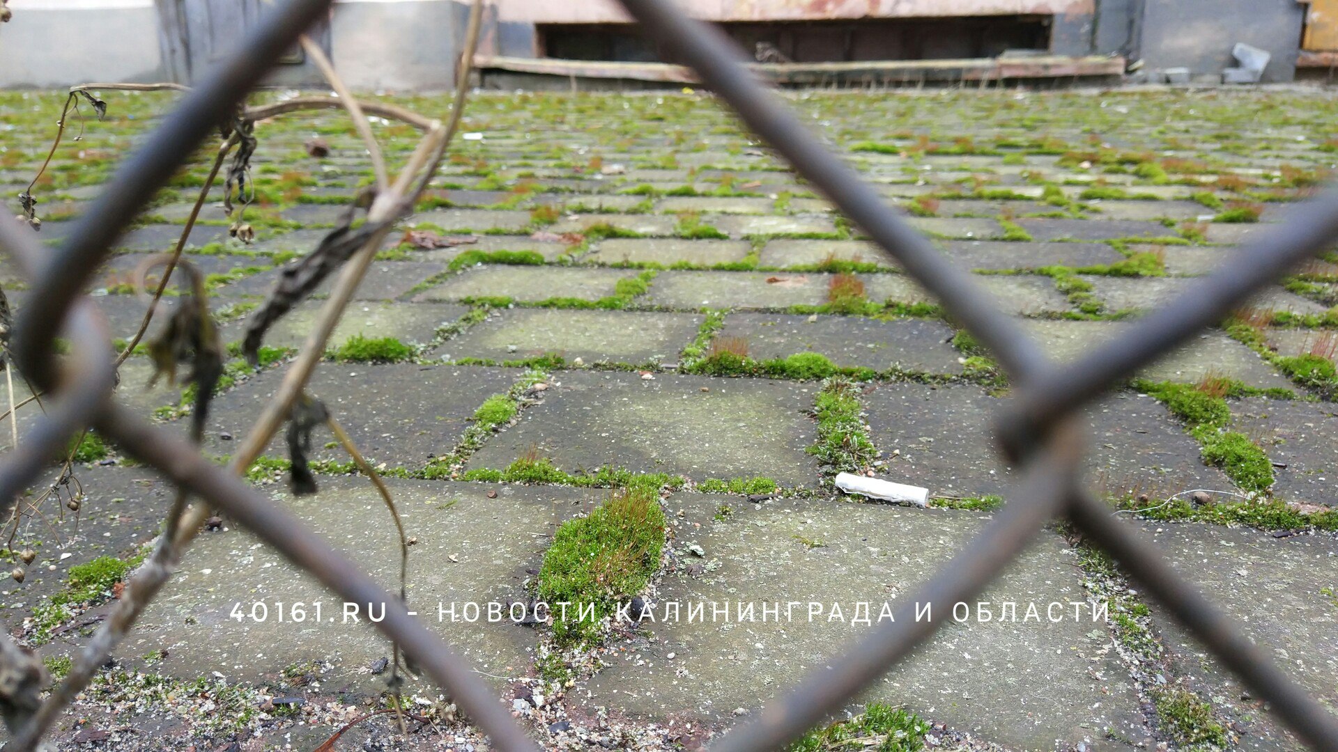 Здание бывшего колледжа культуры в Советске Здание
бывшего колледжа культуры в Советске
