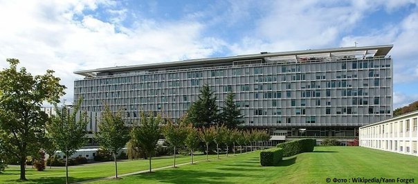 ВОЗ тратит на поездки сотрудников больше, чем на борьбу с малярией и СПИДом: 