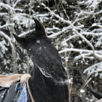 Ольга Цыханская