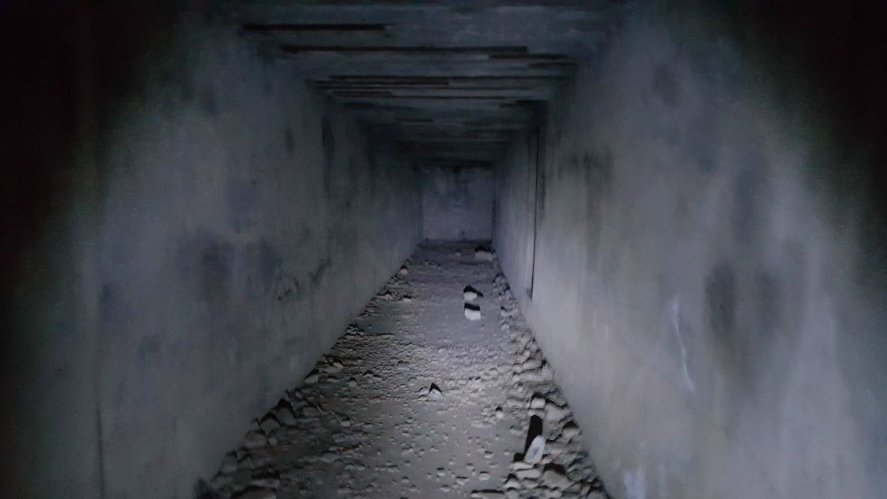 https://pp.userapi.com/c840139/v840139310/3b2e6/tMmVIss9qyw.jpg