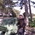 Фото пользователя Ольга