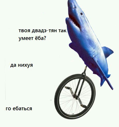 tFcVf4kYcG8.jpg
