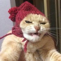 Виктория Большакова