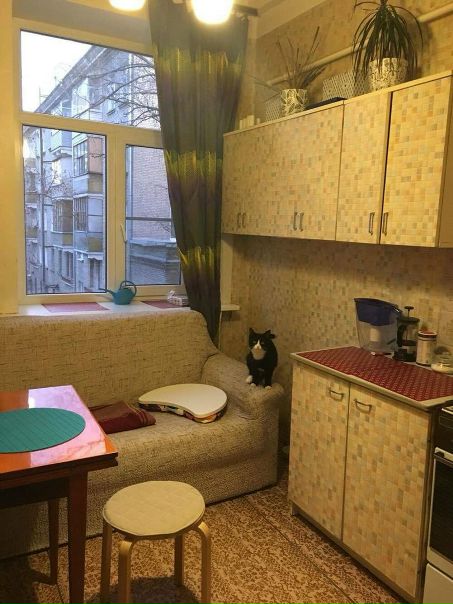 Фото: В связи с моим переездом, сдаётся однокомнатная квартира (40 кв.м., 3 этаж 4 этажного каменного дома, по улице Ленинградская 10, Химки) в 600 метрах от МКАД. В близки есть автобусная остановка, до м. Речной вокзал 15 минут. Рядом с домом всегда есть свободные места для Парковки. Рядом, так же, много ТЦ, таких как МЕГА, Ашан, Лига, Гранд.<br>В квартире (из техники) есть стиралка, плита с духовкой, холодильник, а так же большая двуспальная кровать, на кухне диван, 2 шкафа для одежды.<br>Условия аренды: 25000 в месяц + 25000 залог+оплата электричества по счетчикам. В квартиру проведён интернет Билайн (450 рублей в месяц).<br>Пожелания владельца квартиры к жильцам - «с животными можно, если они приучены к лотку».<br> Рошка