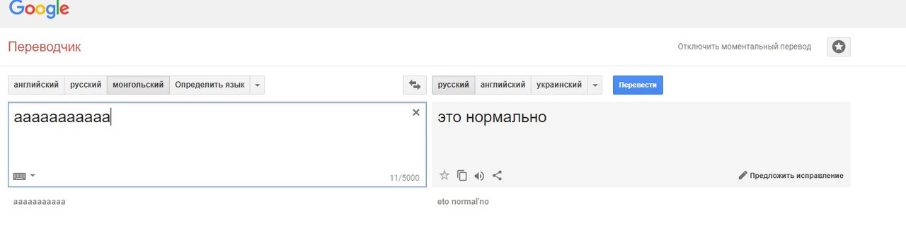 tKg_mLZ0wow.jpg