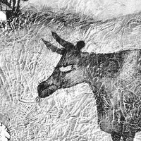 Екатерина Максимова