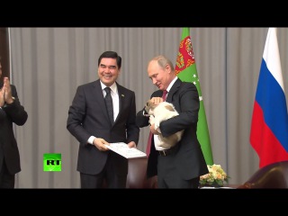 Президент Туркмении подарил Путину щенка алабая