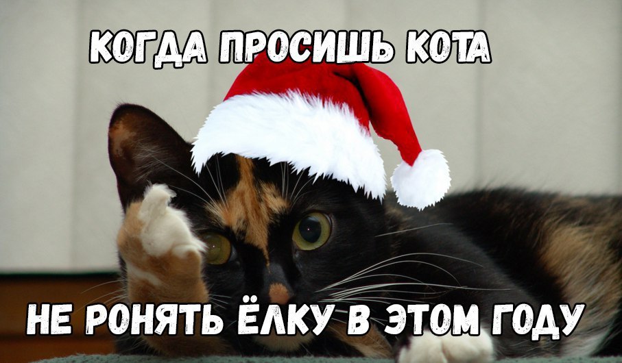 Новогодний Стол Мемы