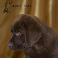 Марина Каплич