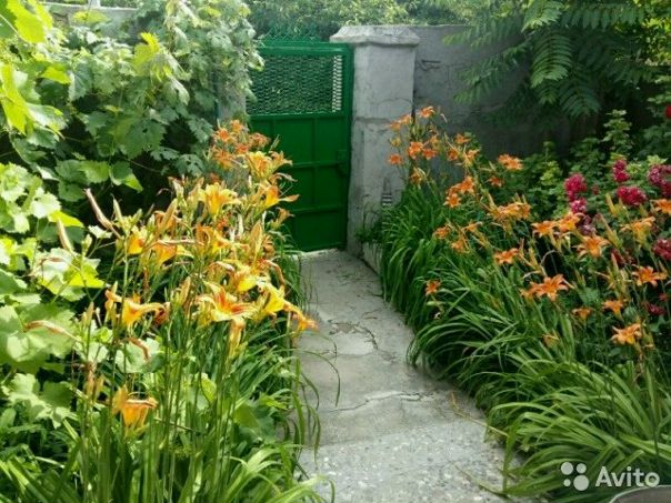 СРОЧНО! <br>ПРОДАЁТСЯ ДОМ У МОРЯ,КУРОРТНАЯ ЗОНА <br> г. ЕВПАТОРИЯ<br>Продам домовладение с отдельным двором в Крыму, город Евпатория по улице Симферопольская, 120 м. до моря.<br>На территории участка в 3 сотки расположен Дом и капитальные постройки - 5 раздельных комнат под ключ с входом со двора для отдыхающих. <br>Общая площадь дома и капитальных построек 100 кв.м.<br>Газ, свет, вода постоянно. Автономное отопление - 2-х контурный котел. <br>Сан.узлы установлены как в доме, так и во дворе.<br>Есть 2 летнии кухни, 2 беседки.<br>Земля в собственности (ГОС АКТ на землю). Российские документы готовы к продаже.<br>Объект идеально подойдёт под курортный бизнес, или при реконструкции под мини пансионат.<br>Двор закрытый, на территории участка есть плодовые деревья и палисадники. <br>Перед домом есть ещё один участок для стоянки машин. <br>Дом находится в самой популярной курортной зоне города, вдоль улицы множество песчаных, благоустроенных пляжей, чистейшее Море) адекватная цена 6 600 000 обращаться по т. +79780957703 Мария,либо лс. - фото Фото: СРОЧНО! <br>ПРОДАЁТСЯ ДОМ У МОРЯ,КУРОРТНАЯ ЗОНА <br> г. ЕВПАТОРИЯ<br>Продам домовладение с отдельным двором в Крыму, город Евпатория по улице Симферопольская, 120 м. до моря.<br>На территории участка в 3 сотки расположен Дом и капитальные постройки - 5 раздельных комнат под ключ с входом со двора для отдыхающих. <br>Общая площадь дома и капитальных построек 100 кв.м.<br>Газ, свет, вода постоянно. Автономное отопление - 2-х контурный котел. <br>Сан.узлы установлены как в доме, так и во дворе.<br>Есть 2 летнии кухни, 2 беседки.<br>Земля в собственности (ГОС АКТ на землю). Российские документы готовы к продаже.<br>Объект идеально подойдёт под курортный бизнес, или при реконструкции под мини пансионат.<br>Двор закрытый, на территории участка есть плодовые деревья и палисадники. <br>Перед домом есть ещё один участок для стоянки машин. <br>Дом находится в самой популярной курортной зоне города, вдоль улицы множество песчаных, благоустроенных пляжей, чистейшее Море) адекватная цена 6 600 000 обращаться по т. +79780957703 Мария,либо лс.