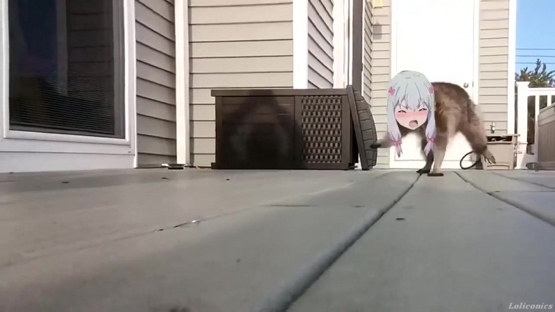 сука ебаное аниме