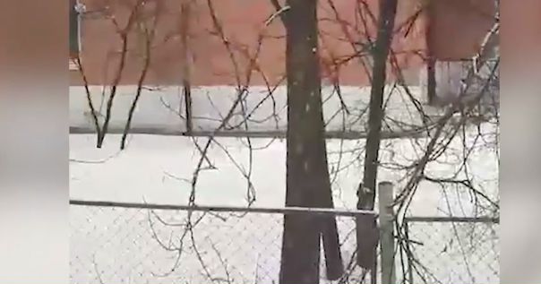 Стучал в окошко. Под Владимиром воспитатели забыли малыша на морозе — видео