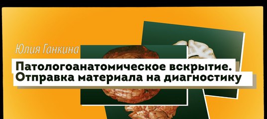 Бланк Направления На Патологоанатомическое Вскрытие