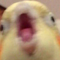 Милана Бабецкая