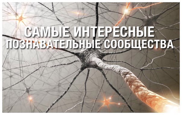 Полезная подборка познавательных сообществ серии WIKI! Выбирайте и подписывайтесь! 