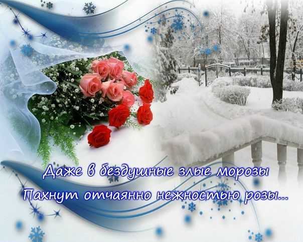 Рубрика 