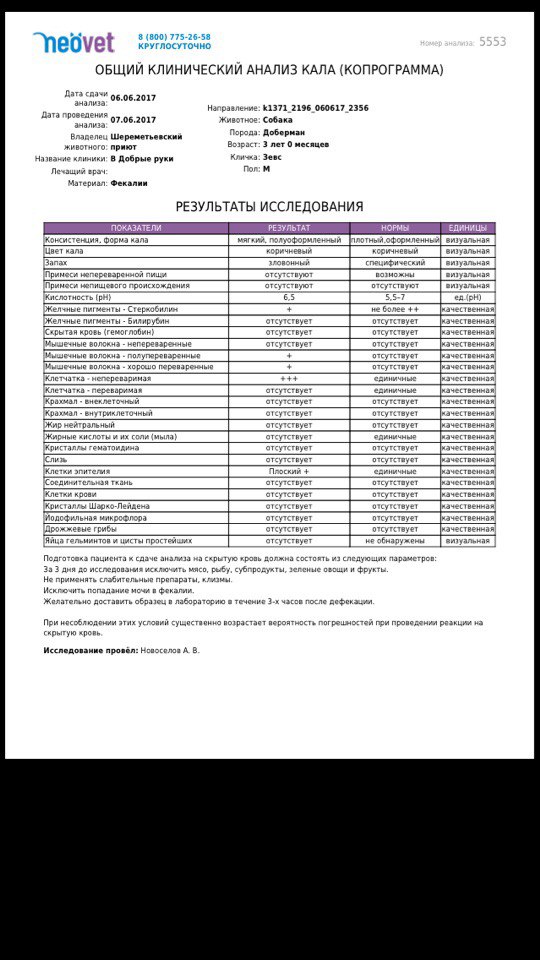 Жидкий кал на анализы сдавать можно. Анализ мочи НЕОВЕТ. Показатели анализа кала на скрытую кровь. Общий анализ крови НЕОВЕТ. Исследование кала на скрытую кровь норма.