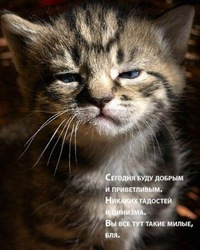 Павел Комаров