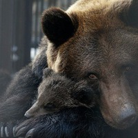 Александр Михайлович  ★Ҏ ɣ ç ხ★