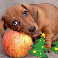 Людмила Гисина