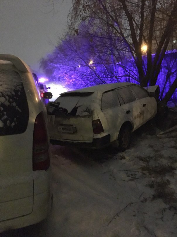 В Омске дерево помогло поймать веселую женщину за рулем (фото) В Омске дерево помогло поймать веселую женщину за рулем (фото)